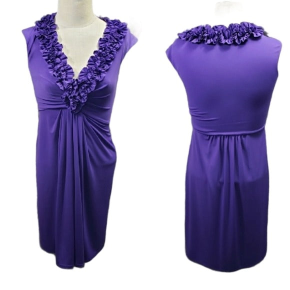 Maggy London Purple Dress Size 4